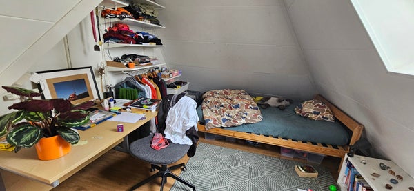 Room Star Numanstraat