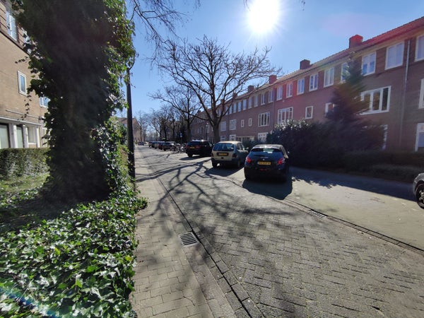 St Nicasiusstraat Applied