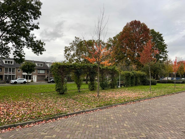 Huis Mechelenstraat in Breda