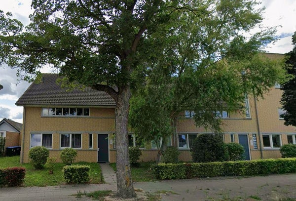 Generaal Bothastraat, Eindhoven