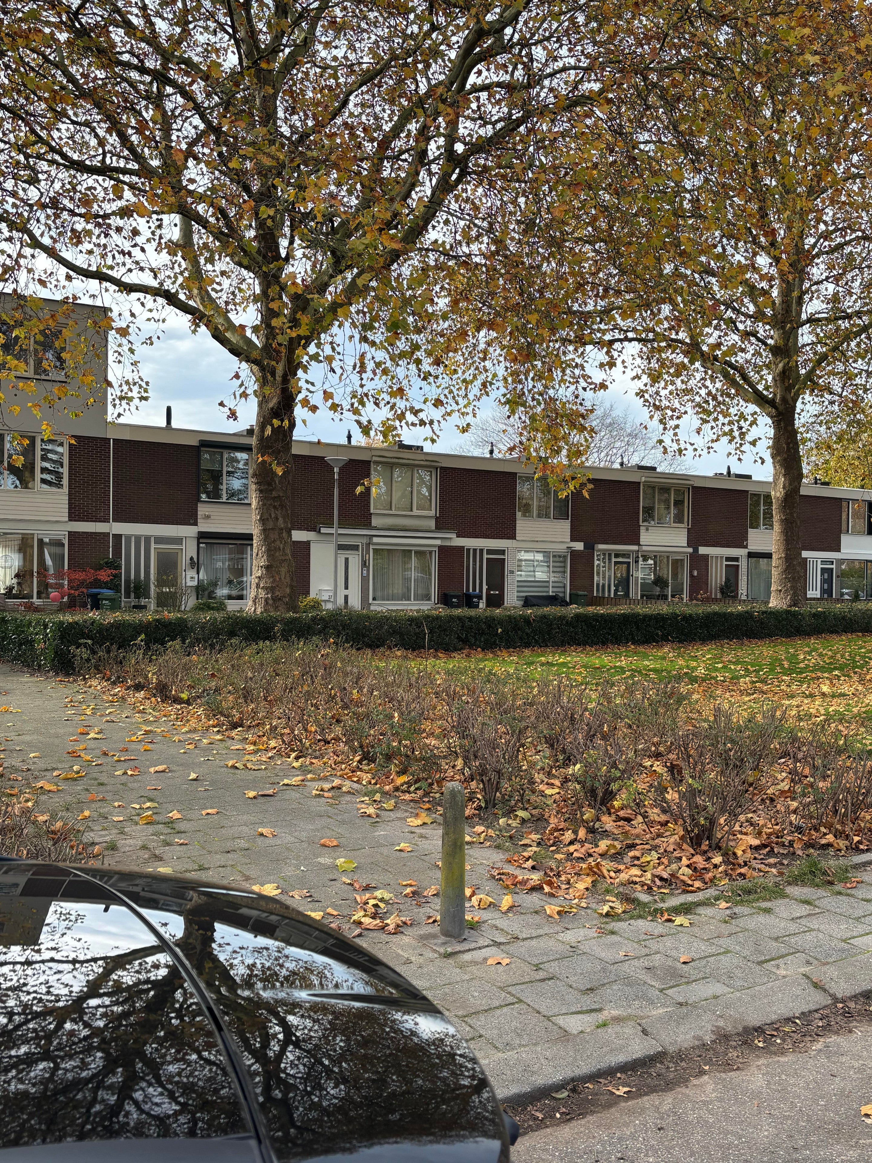 Muiderslotstraat
