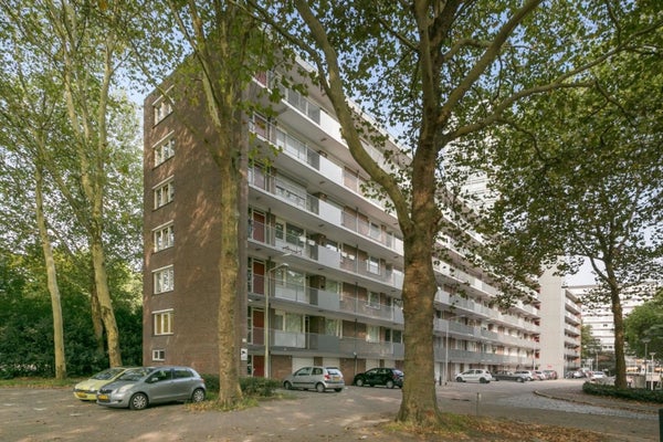 homes for rent on Cederstraat