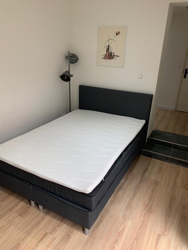 Te huur Appartement Schiedamseweg in Rotterdam