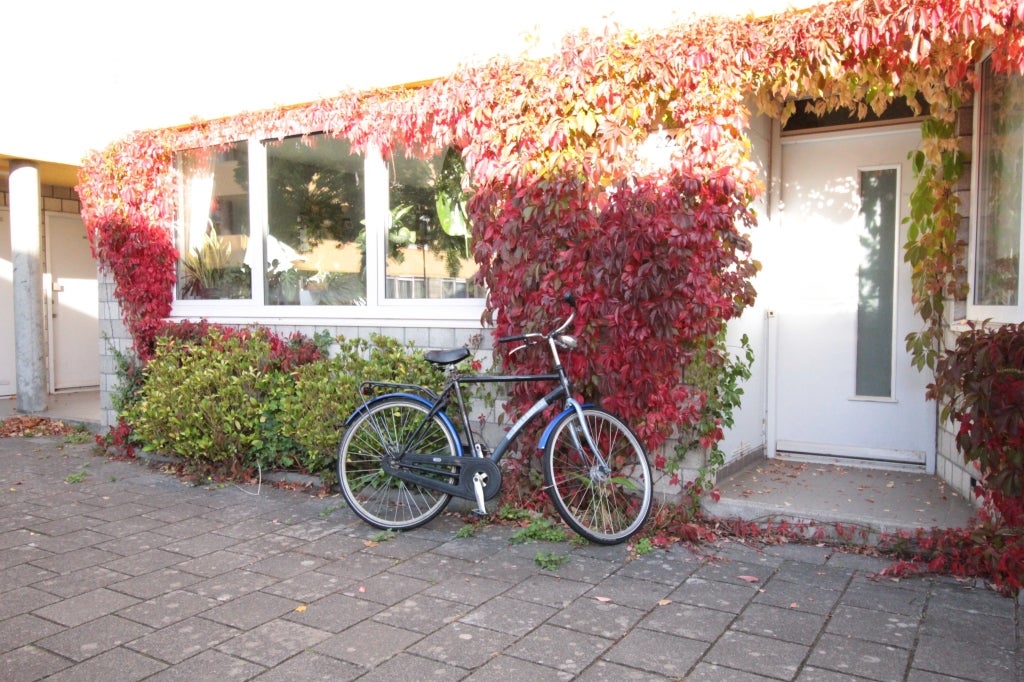 Appartement Slachthuisstraat 20