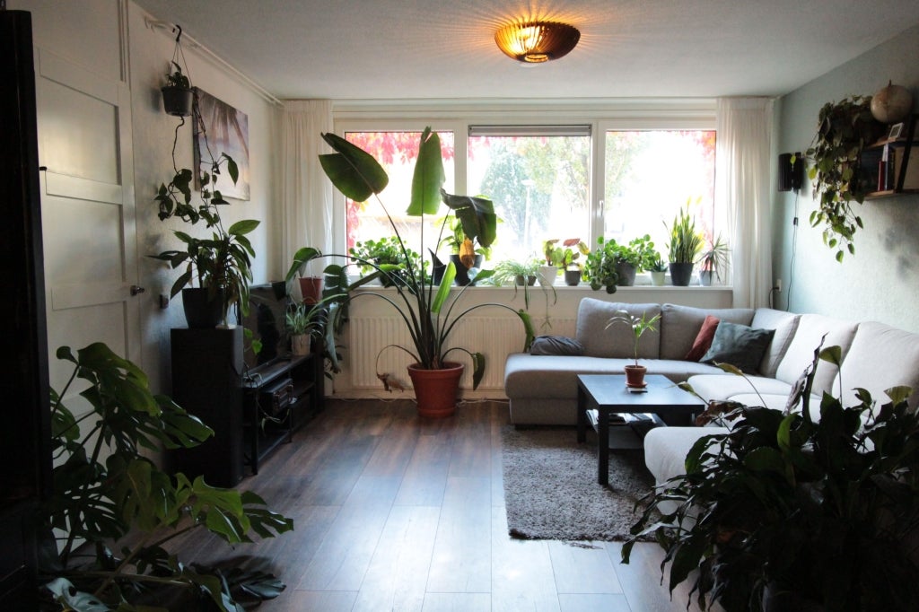 Appartement Slachthuisstraat 4