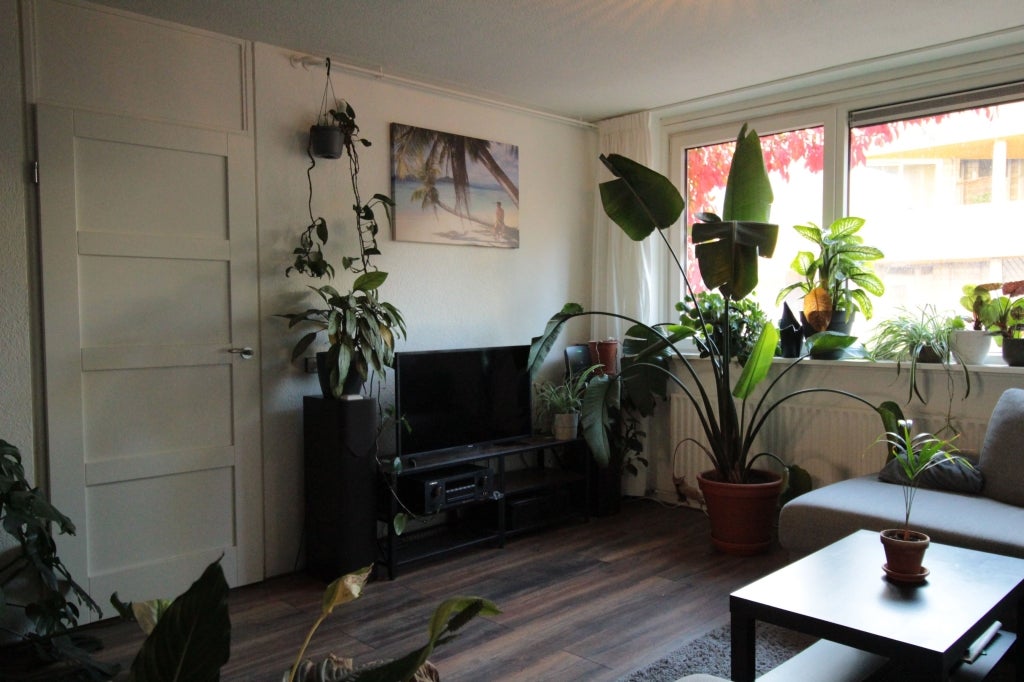 Appartement Slachthuisstraat 2