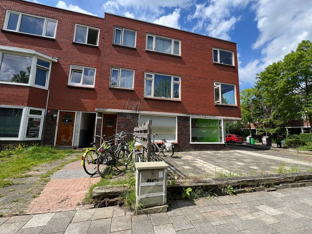 Flat Van Hamelstraat