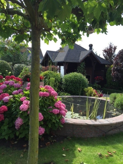 huis Aalscholver Monster