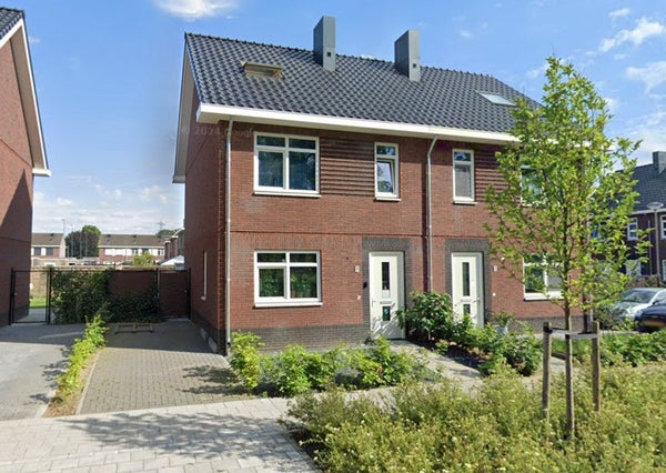Boomgaard 4