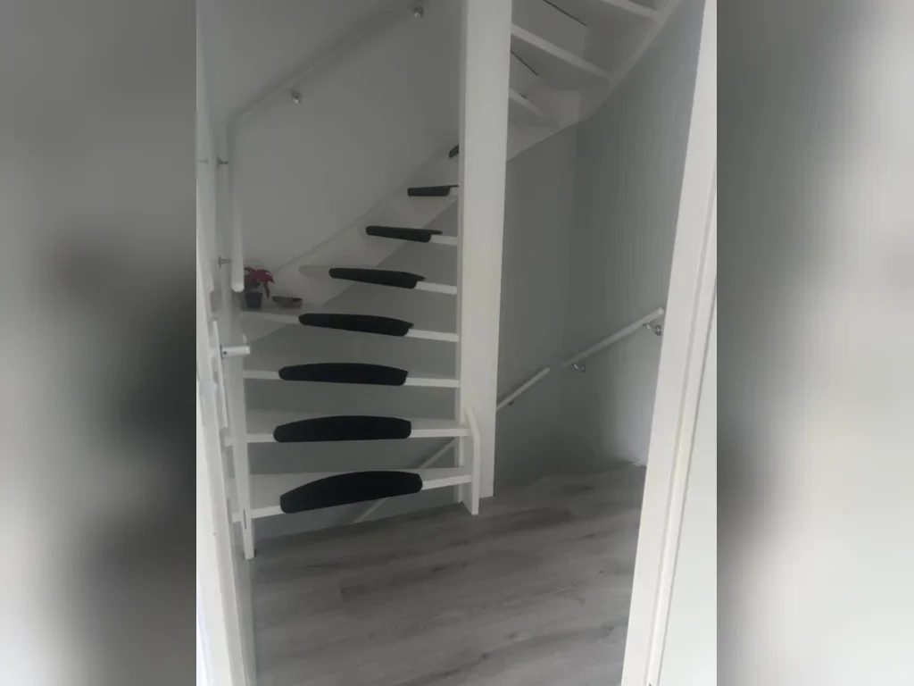 Woonhuis aan de Baardspringer in Koog aan de Zaan