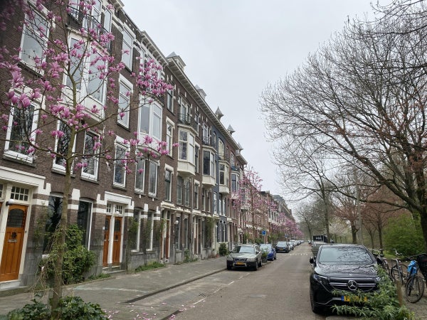 Huis Essenburgsingel in Rotterdam