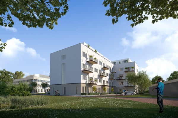 Limaweg