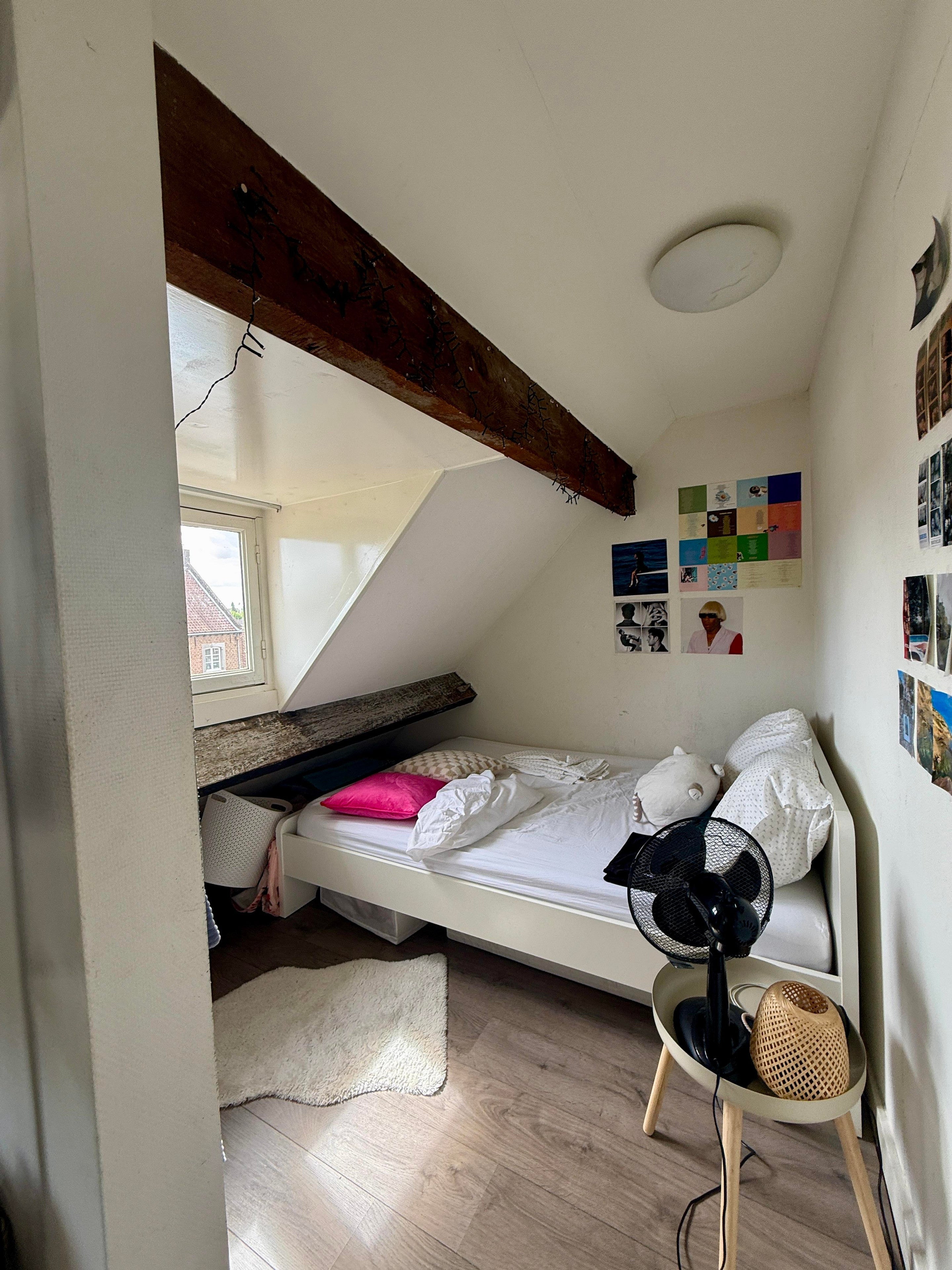 Room Meerssenerweg