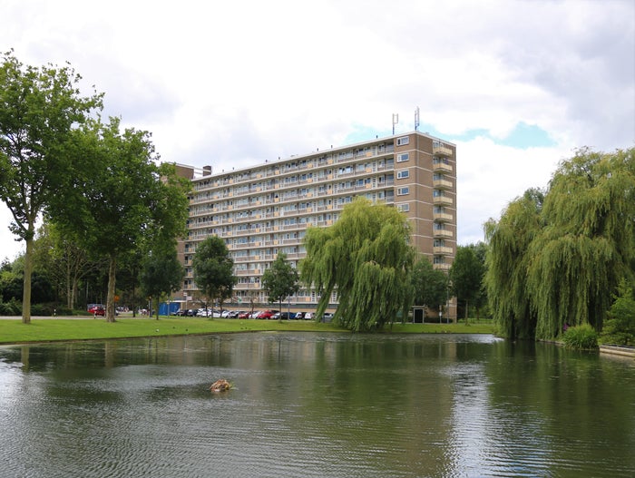 Te huur: Appartement Dumasstraat 137 in Rotterdam