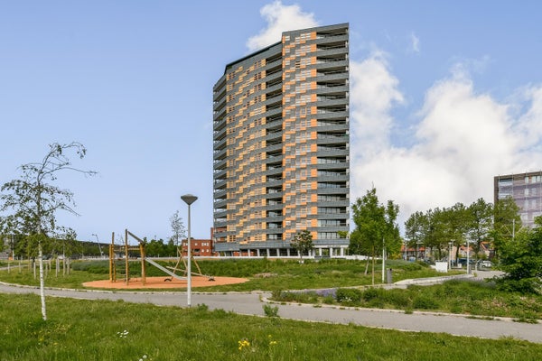 Ecuplein in Amsterdam