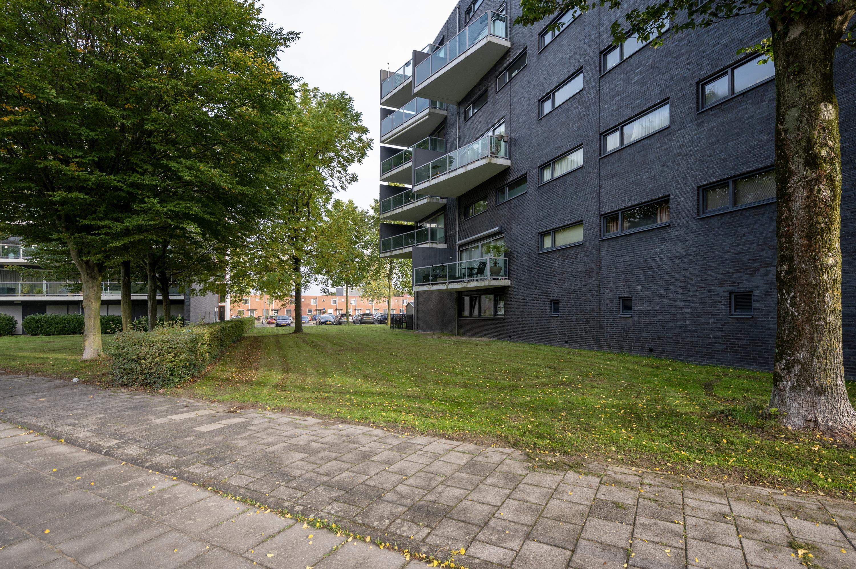 Salsastraat