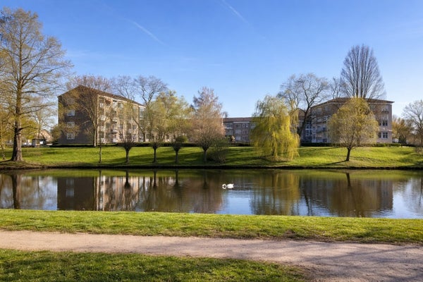 Studio P.C. Hooftlaan