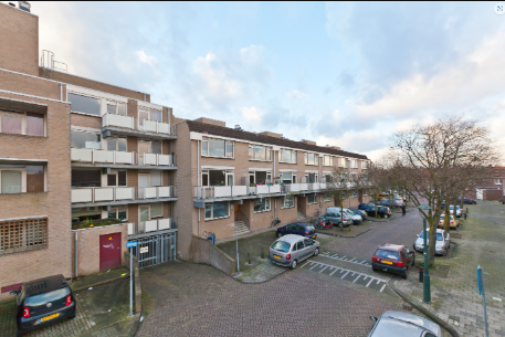 Esdoornstraat 41