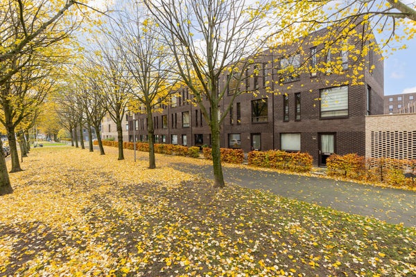 Huizen te huur Rotterdam Huizen Te Huur Rotterdam