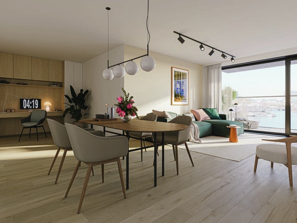 Flat Pieter Goosstraat 28