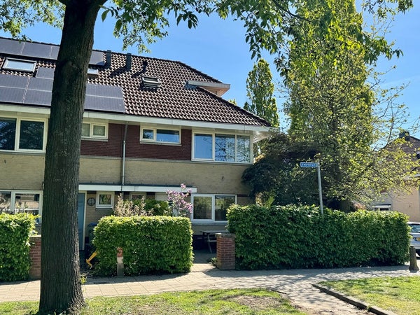 House Ewartstraat