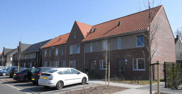 Spiegelkever 33