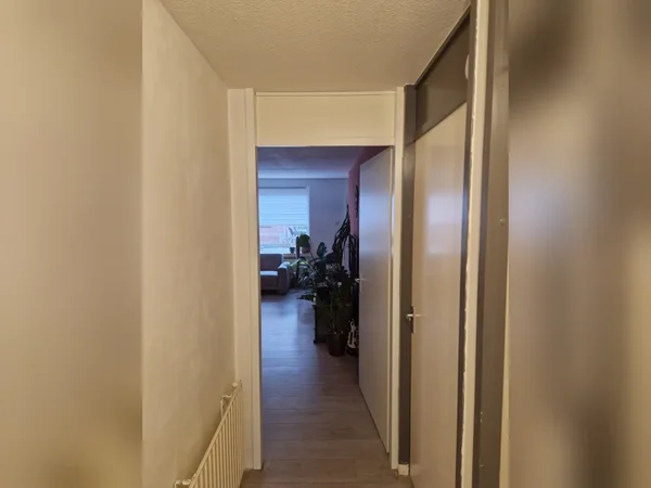 Appartement Peter Paul Rubensstraat in Rijnsburg