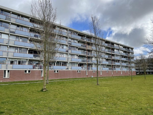 Koekoekstraat
