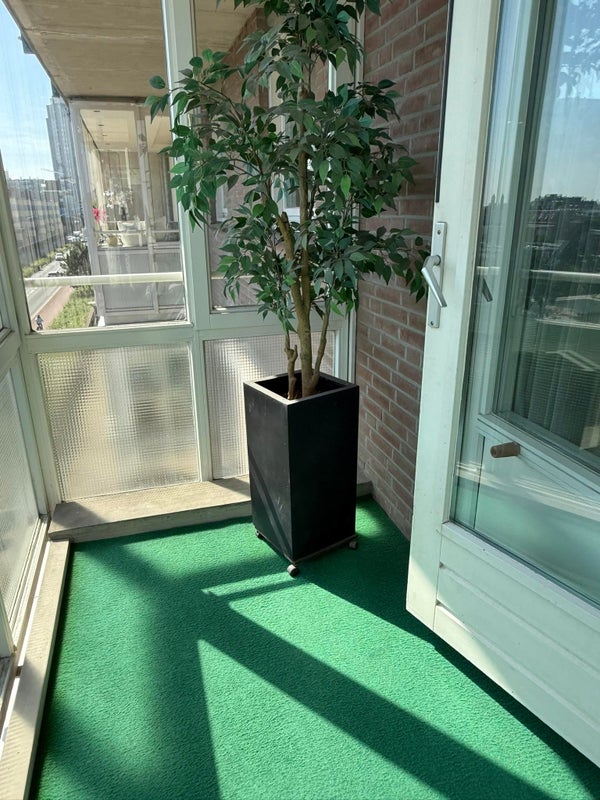 Te huur Appartement Zwolsestraat in Den Haag