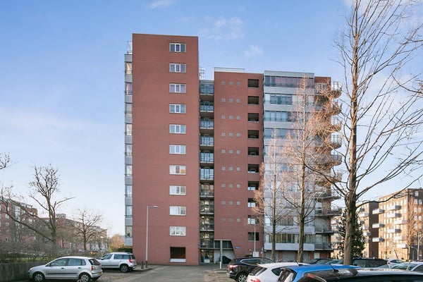 Appartement Cornelis van Rijplantsoen in Amsterdam