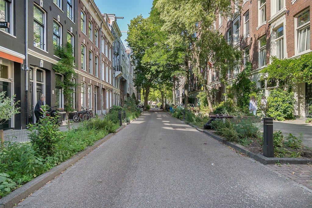 Frans Halsstraat