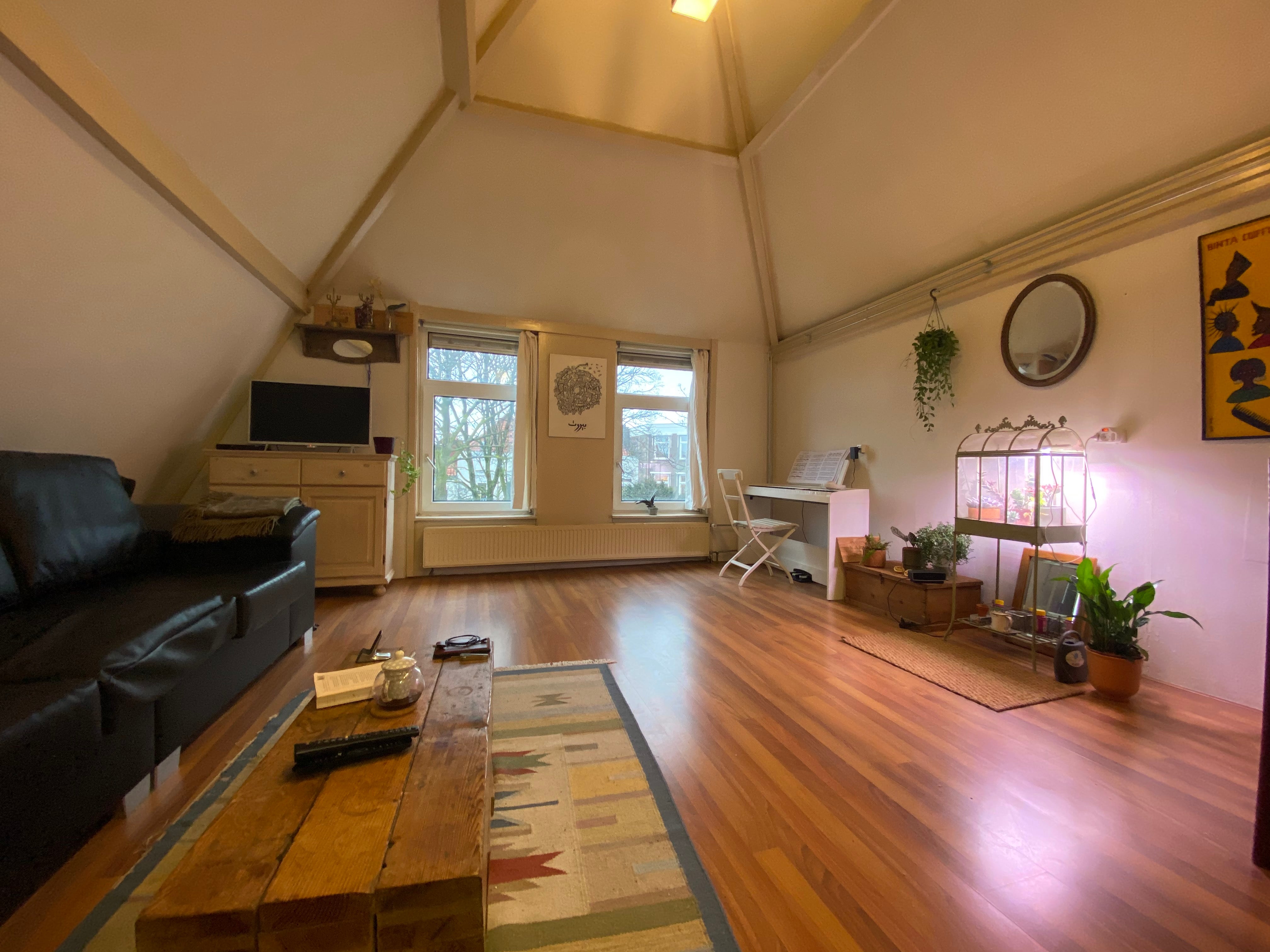 Te huur Appartement Van Kinsbergenstraat 109 B in Den Haag