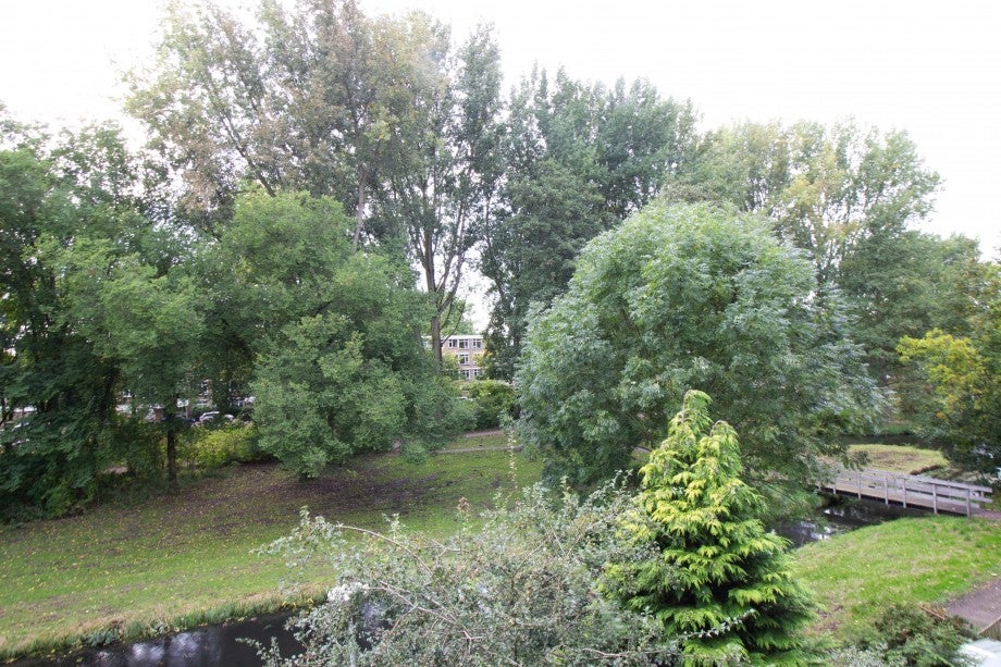 Kamer te huur: Midscheeps, Amsterdam