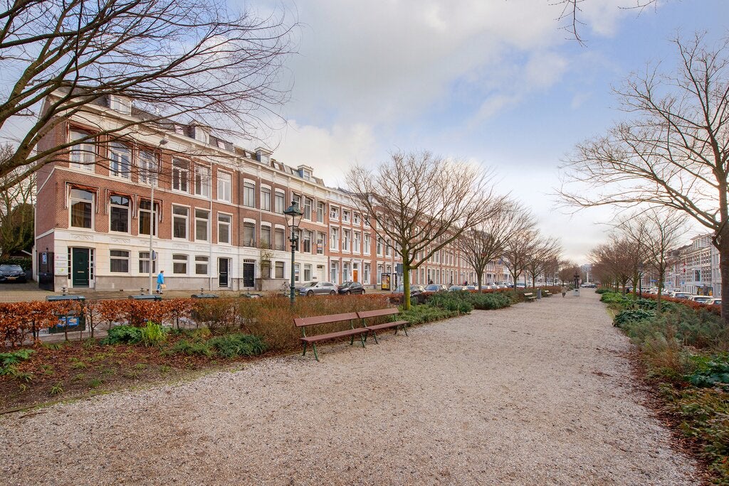Flat Nassauplein 21