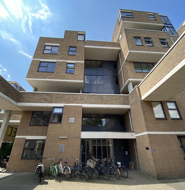 Fongersplaats, Groningen