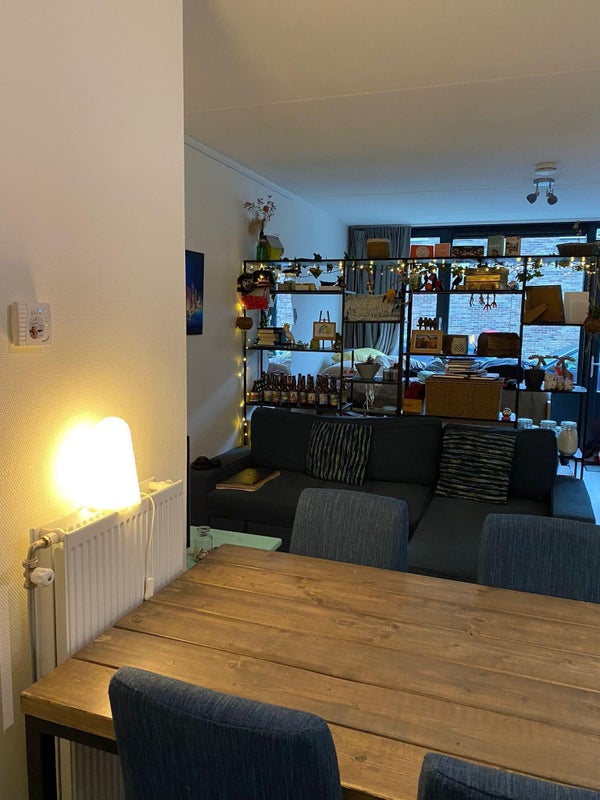 studios for rent on Van Karnebeekstraat