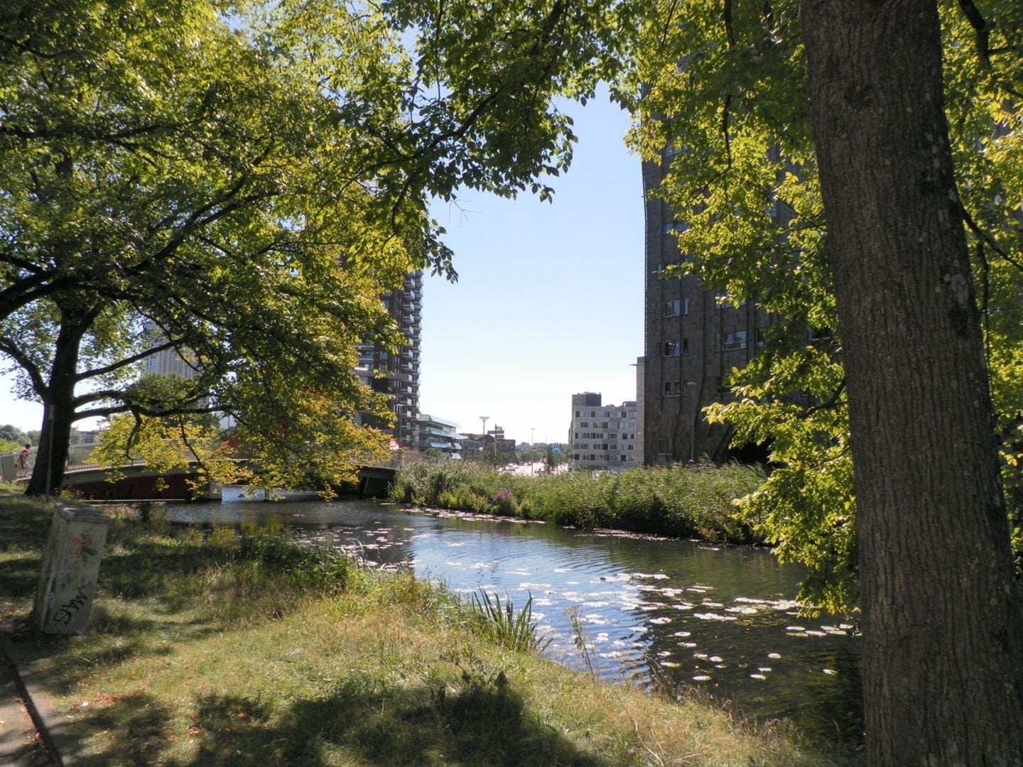 Carolina MacGillavrylaan