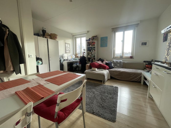 Te huur: Appartement Dolmansstraat in Maastricht