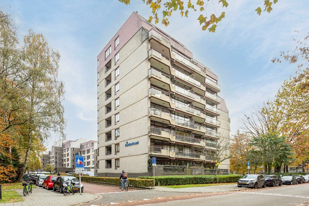 Professor Cobbenhagenlaan