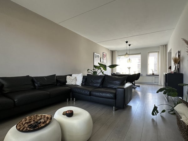 House Image 5