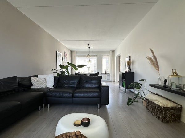 House Image 4