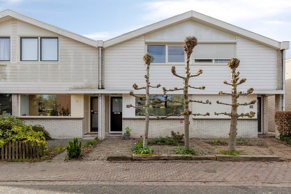 Van Hallstraat 24