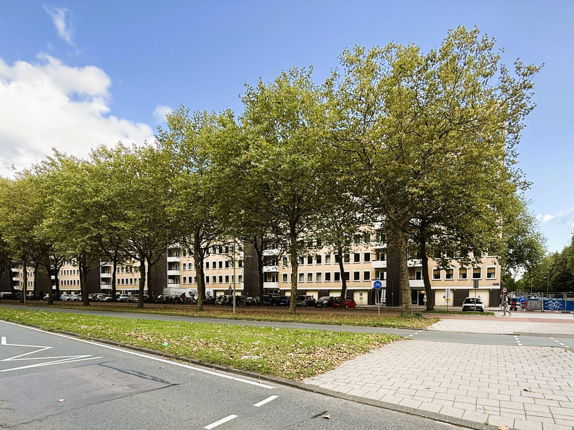 Van Nijenrodeweg