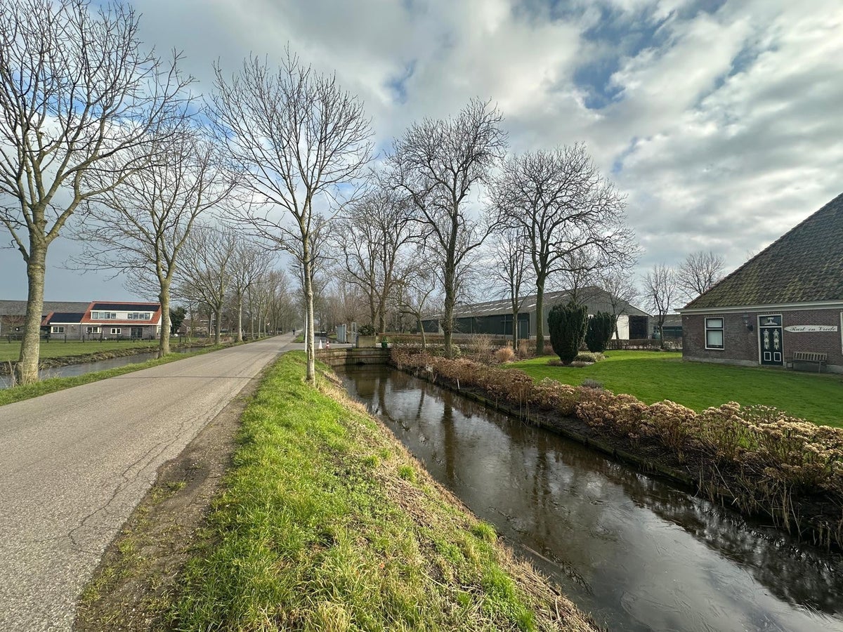 Wijdewormer – 1456NG