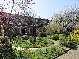 Te huur: Huis Petrus Campersingel in Groningen