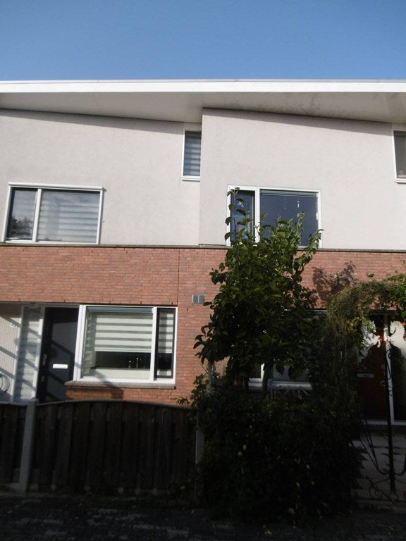 A rental house advertisment