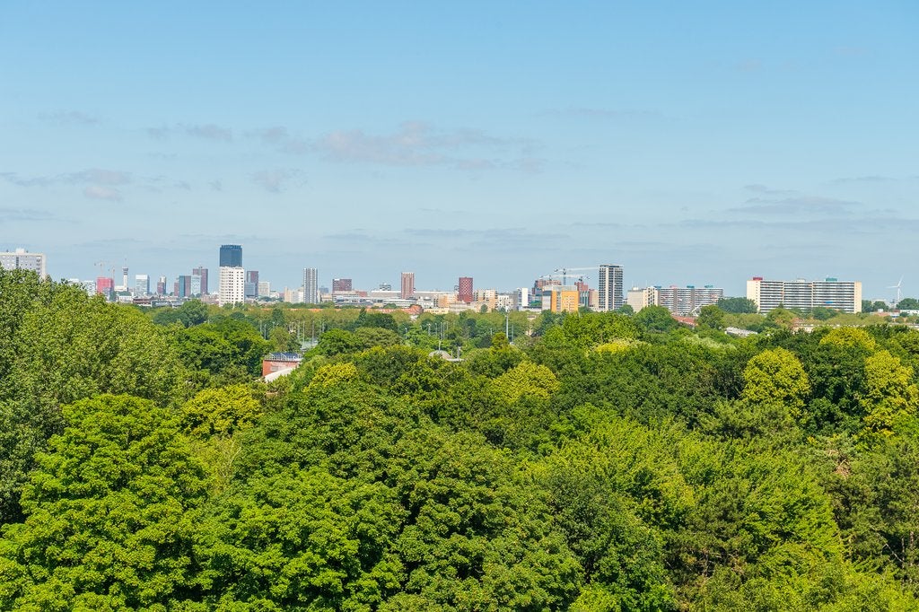 Appartement te huur: Loevesteinlaan 375E, 'S-Gravenhage