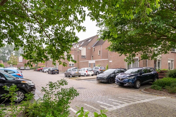 Torp 9 in Den Helder