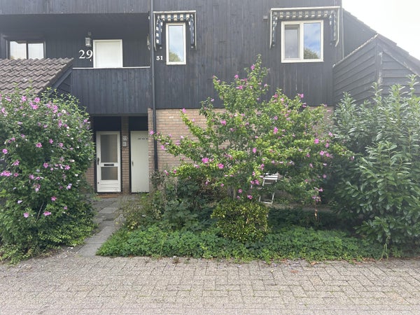 Groenling