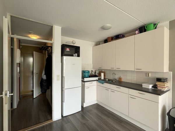 House Image 5